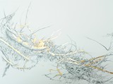 aeolus