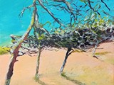 schoorlse duinen2